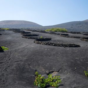 TURISMO-DE-LANZAROTE-6