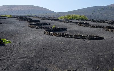 TURISMO-DE-LANZAROTE-6